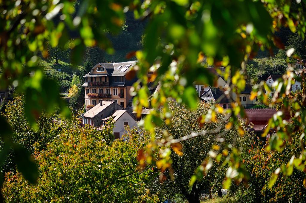 Le Clos Des Sources Hotel & Spa Thannenkirch Bagian luar foto